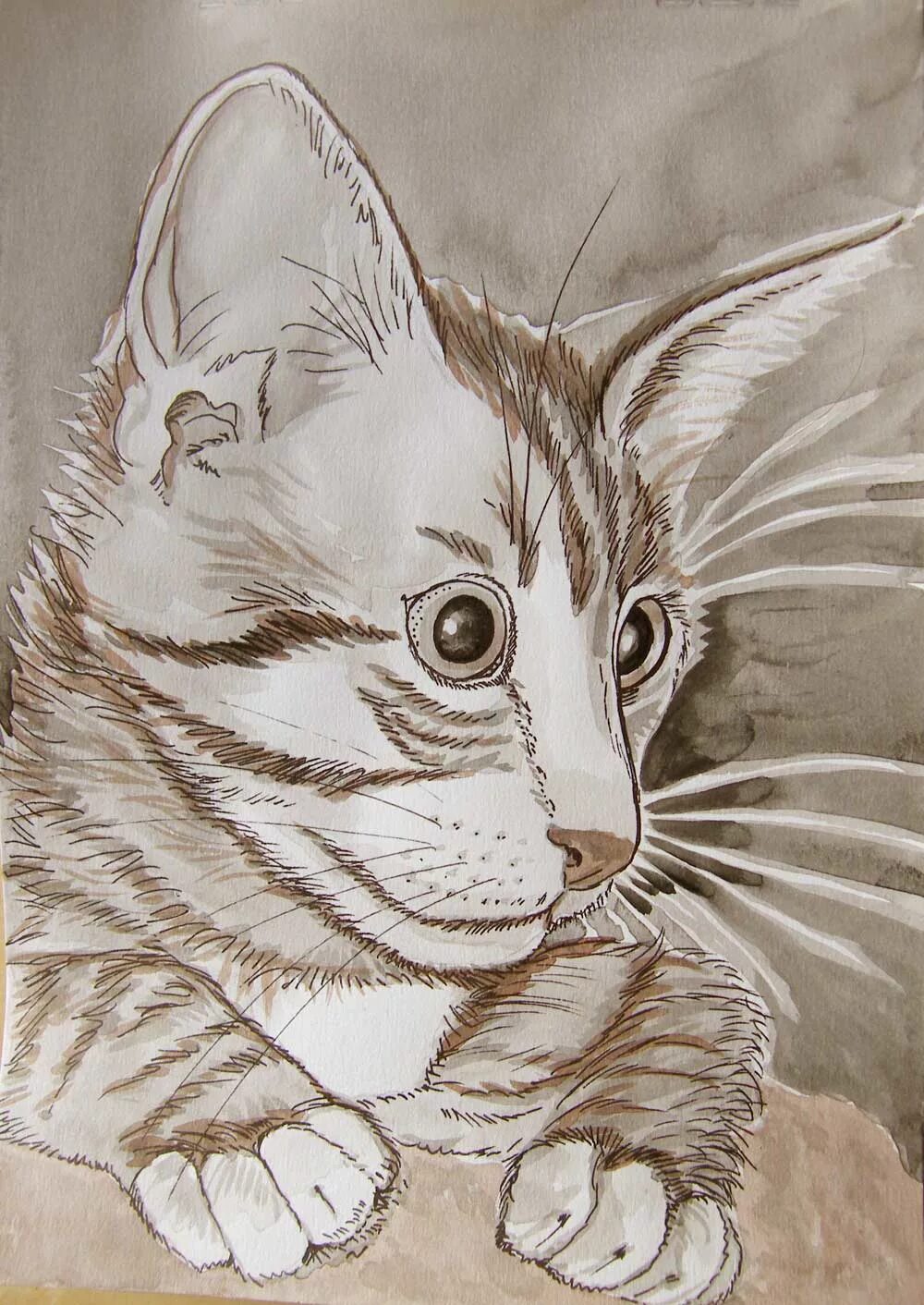 реалистичные рисунки животных. морда кошки живопись. портреты кошек елены колотуши. вырезать портрет кошка. шипящий кот набросок.