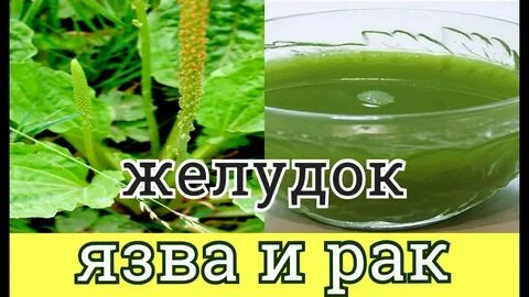 Язва желудка народные методы
