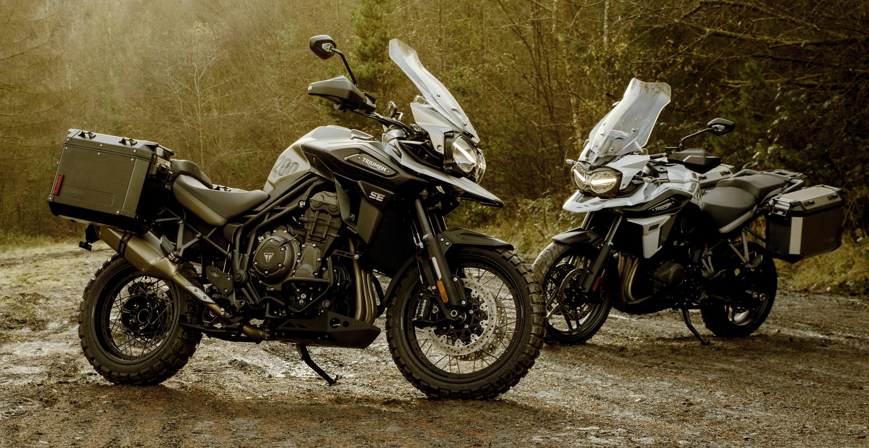 Тайгер 1200. Triumph Tiger 1200. Triumph Tiger 1200 XR. Триумф турэндуро 1200. Triumph Tiger 1200 Desert Edition.