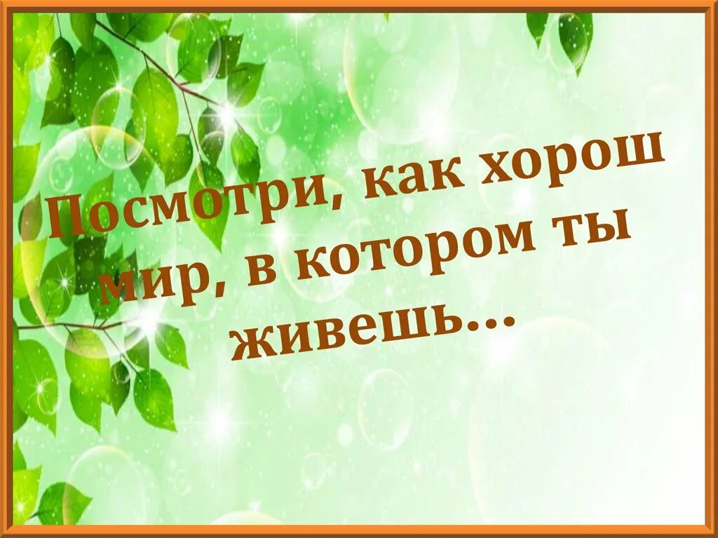 Неделя по окружающему миру в начальной школе. Посмотри как хорош край в котором