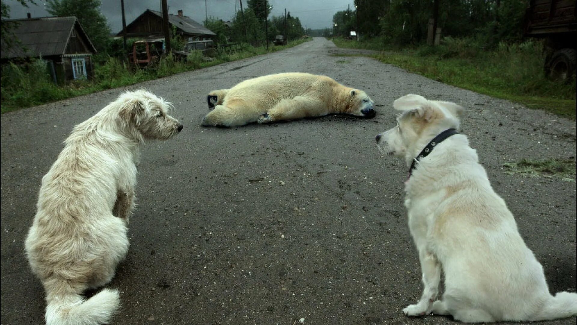 Может где нибудь видели