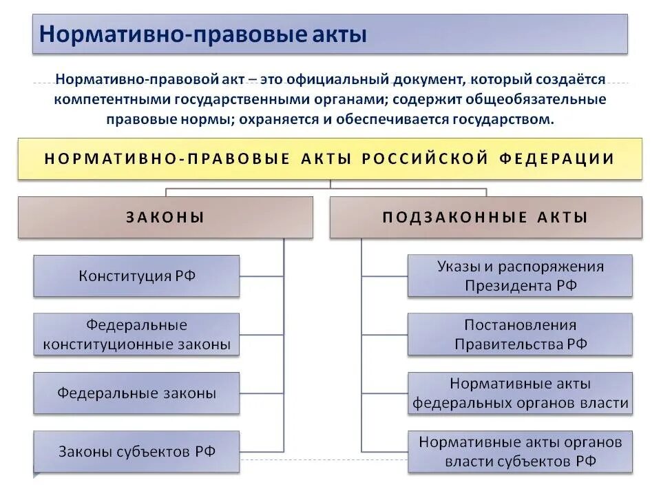 Какие положения содержит