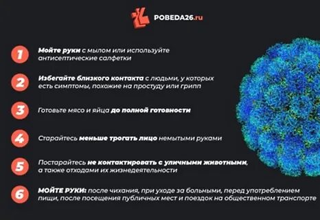 Коронавирус какая инфекция