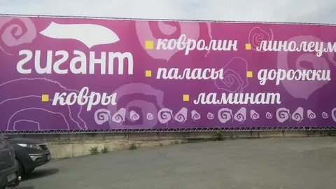 Пол барнаула