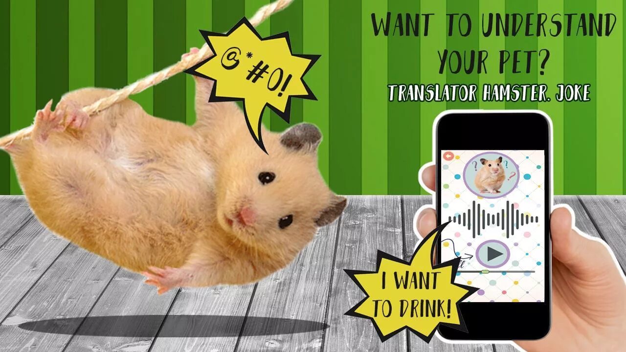 Слово хамстер 4 июля. Gerbil. Слово хамстер 4 июля. Хомяк видео. Смешной хомяк интро.