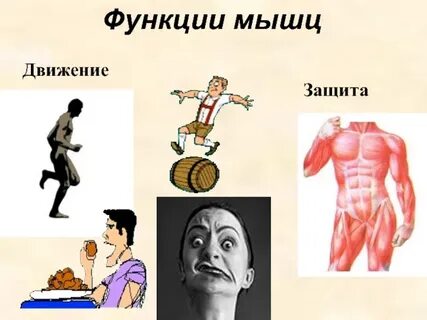 Движение защита