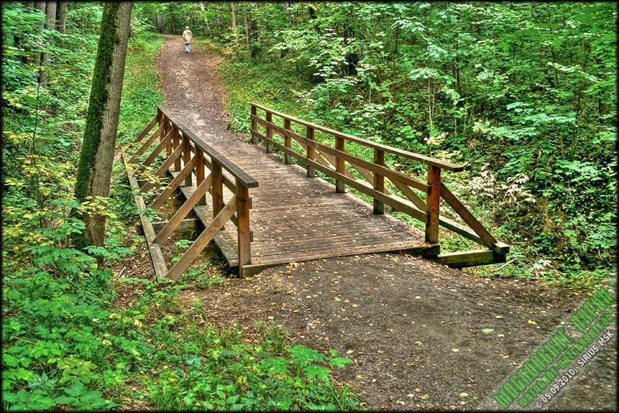 трофимовщина мост через овраг. битцевский парк тропа. перила моста. деревянный мост. перешли овражек по мостику.