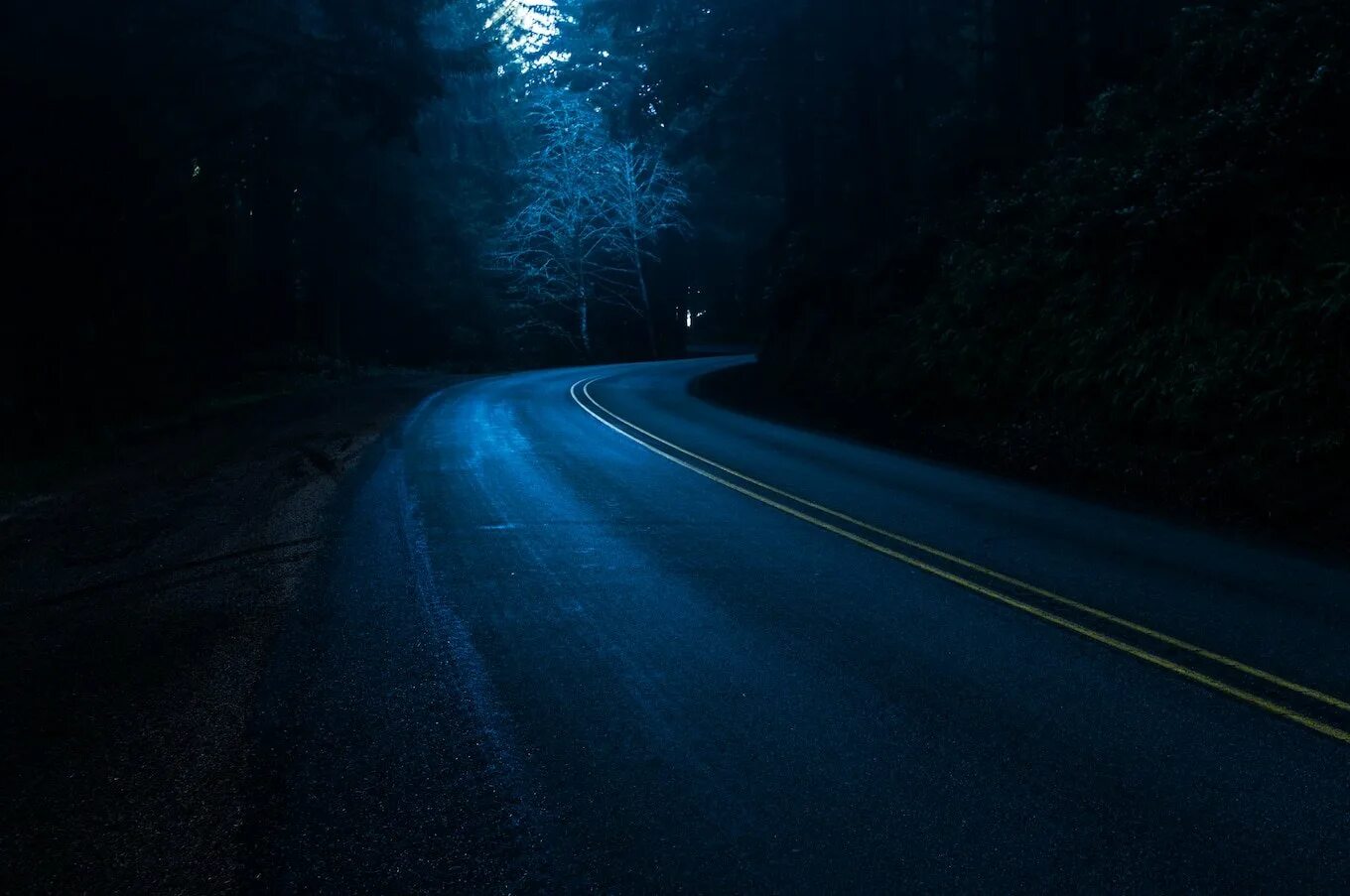 Включи синий дорог. Темная дорога. Дорога ночью. Лесная дорога ночью. Ночная трасса в лесу.