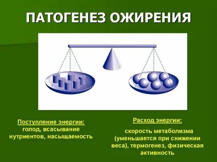Генезы ожирения