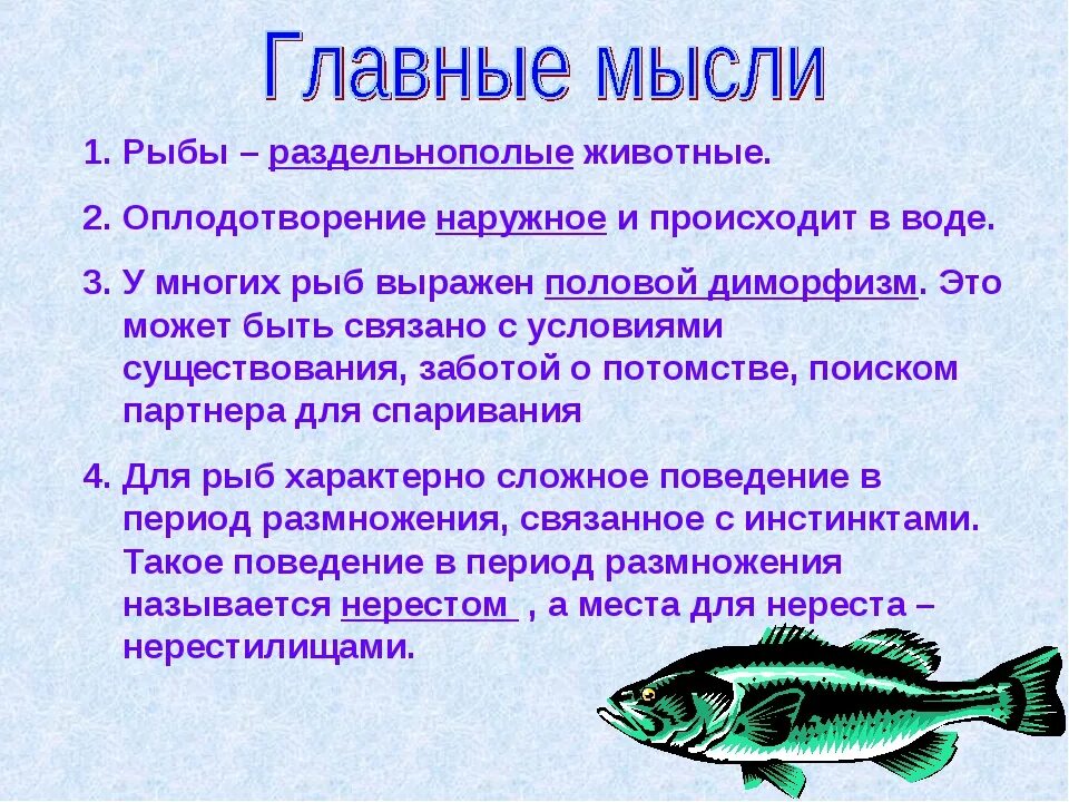 Размножение рыб. Особенности размножения рыб. Сообщение о размножении рыб. Наружное оплодотворение у рыб.