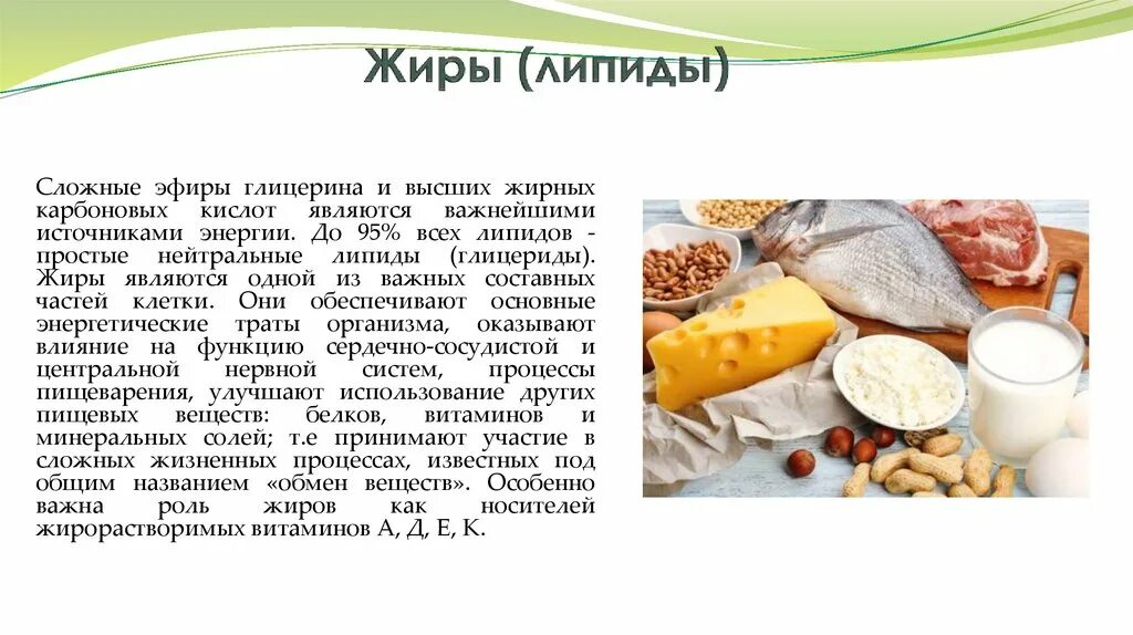 Жиры являются источниками каких веществ. Жиры информация. липиды в питании. жиры являются источниками?. сообщение про жиры.