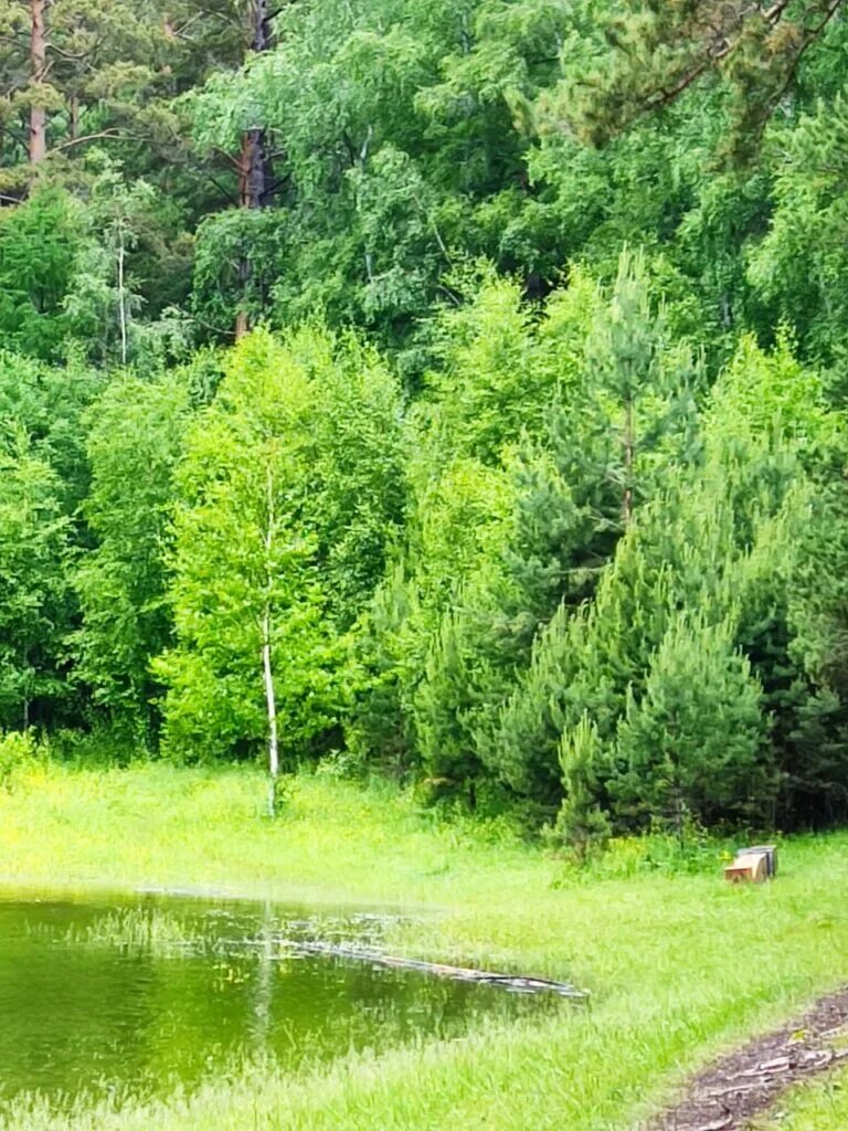 Погода сухое озеро. Большое Голоустное сухое озеро. Сухое озеро на Байкале. Прибайкальский национальный парк сухое озеро. Сухое озеро фото.