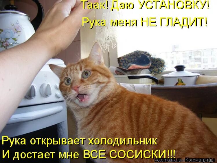 Установить дал дал дома