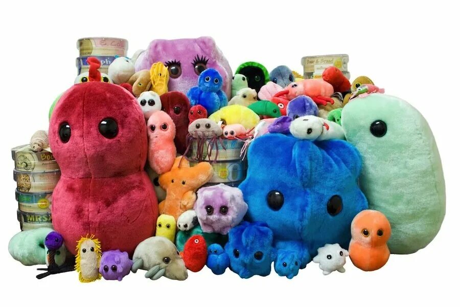 Как выглядит будет игрушки. Игрушки микробы giant microbes. мягкая игрушка гигантский микроб хламидия. популярные игрушки. популярные детские игрушки.