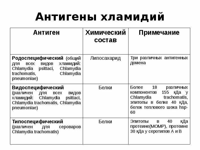 Виды хламидий. Хламидии Тип питания. Хламидии характеристика. Хламидии строение микробиология. Хламидиоз факторы патогенности.