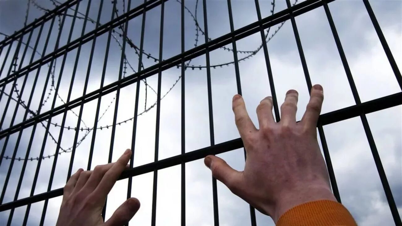Лишение свободы исполняет. Амнистия 2025. лишение свободы. места лишения свободы. решетка тюрьма.