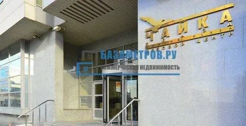 Чайка екатеринбург