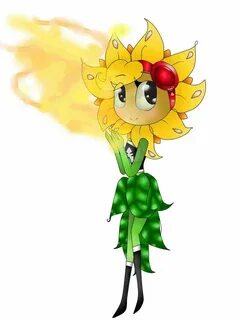 Solar flare rule SEOMani.ru