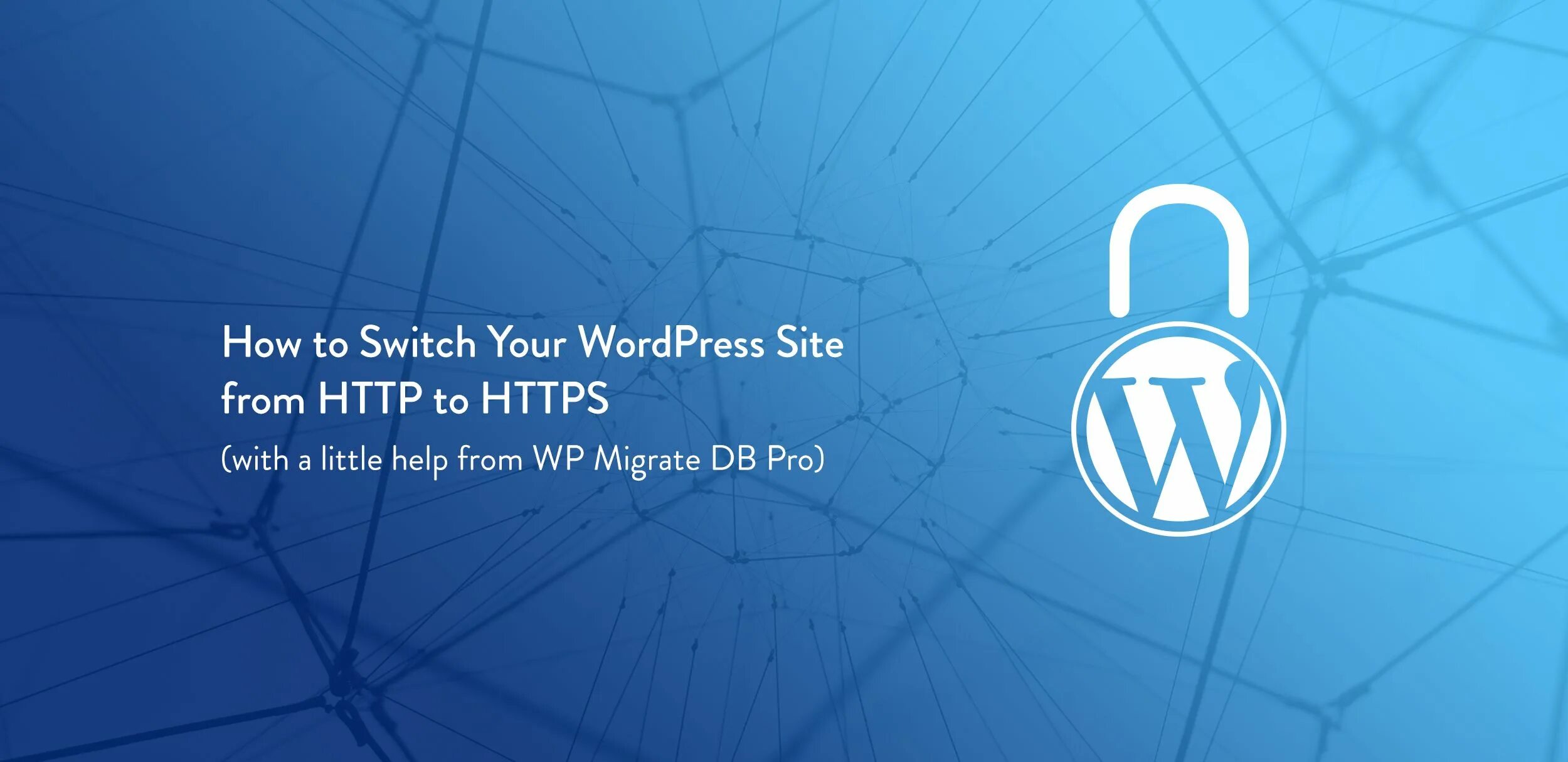 WORDPRESS migrate. WORDPRESS Certificate. Google WORDPRESS Certificate. How WORDPRESS distinguish u PNG. Https u to tbdgia