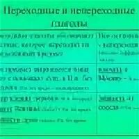 2 переходных глагола и 2 непереходных