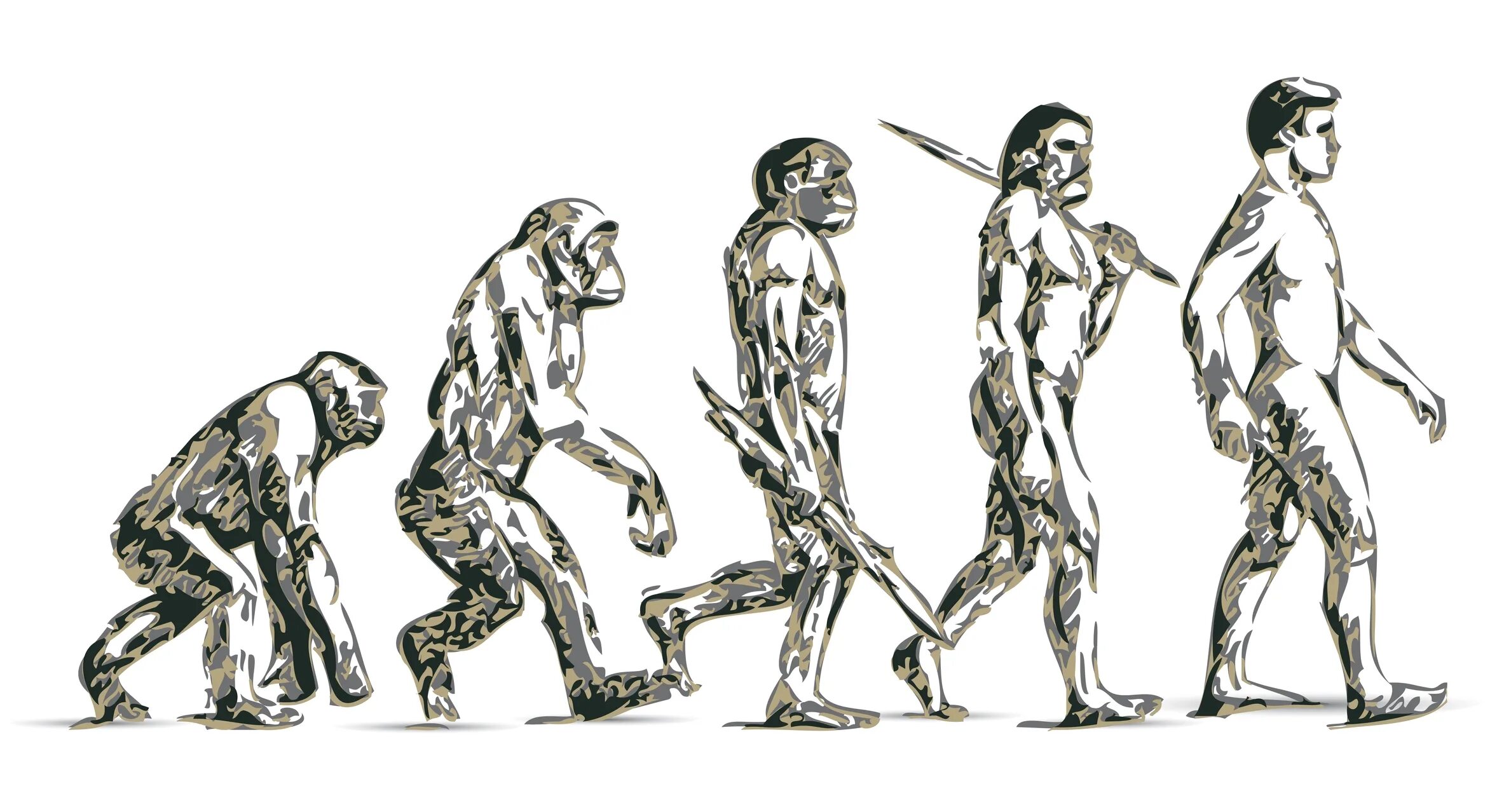 Жизни путем эволюции. Антропогенез Дарвин. Эволюция Дарвин хомо. Human Evolution Эволюция человека. Эволюция человека Дарвина цепочка.