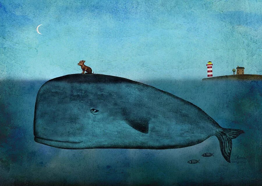 рыба кит собака. рыба кит собака. рыба кит собака. рыба кит собака. рыба кит папа рисует.