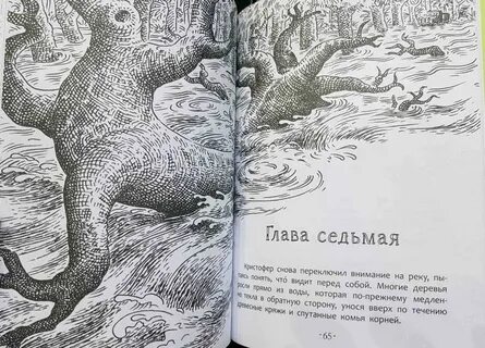 Другой пол книга