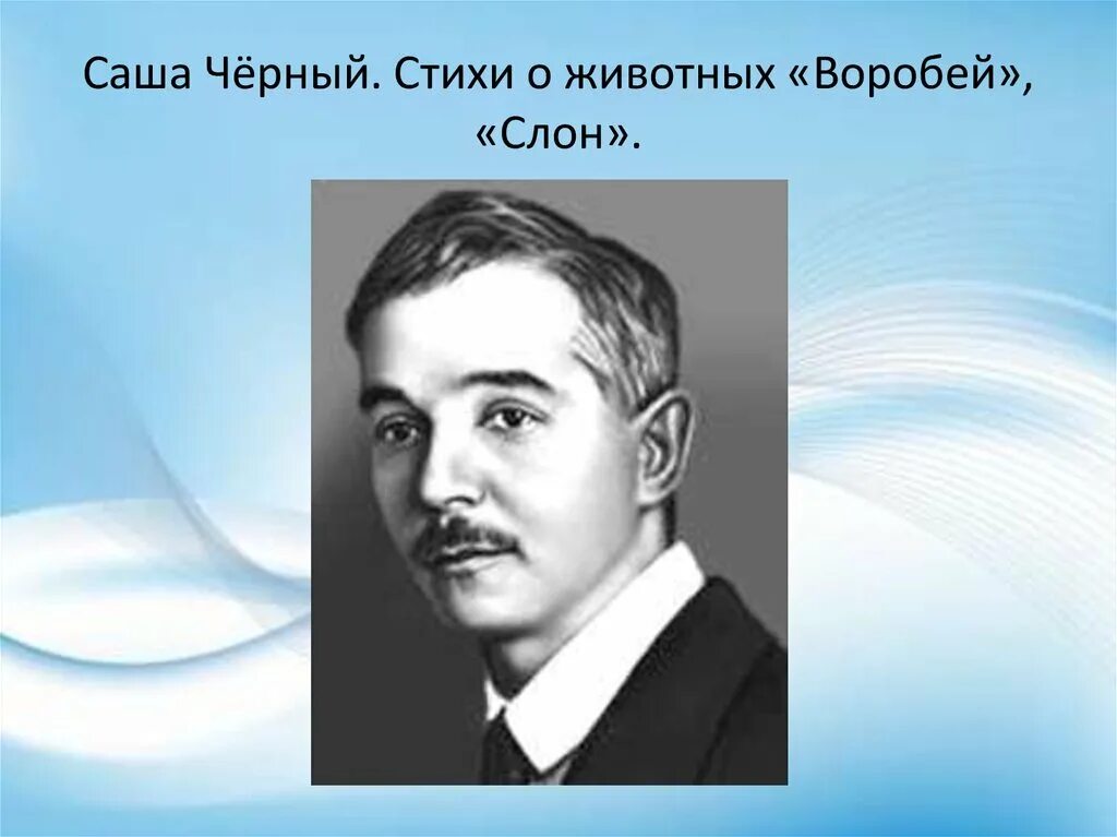 Саша черный видео. Саша черный портрет. Саша черный портрет для детей.