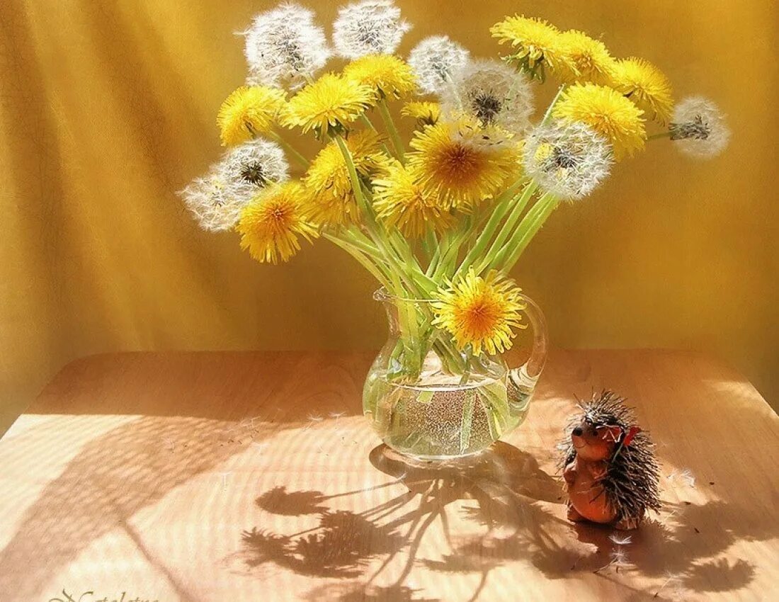 Солнечного настроения пожелания. Букет одуванчиков. Одуванчики в вазе. Солнечный цветок. Букет одуванчиков в вазе.