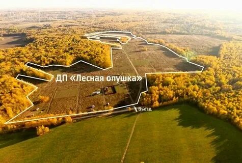 На лесные 3 опушки