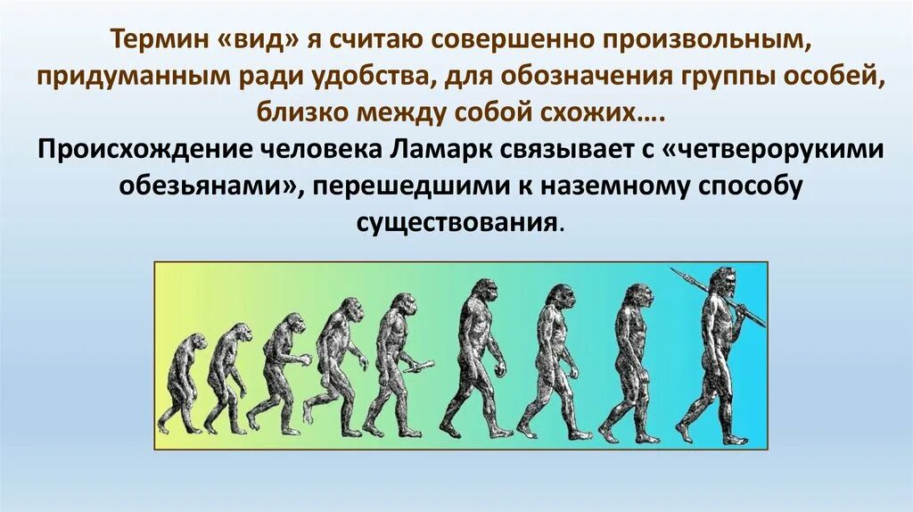 Эволюционное происхождение человека презентация. Появление человека. История происхождения человека. Современные представления о происхождении человека. Виды терминов.