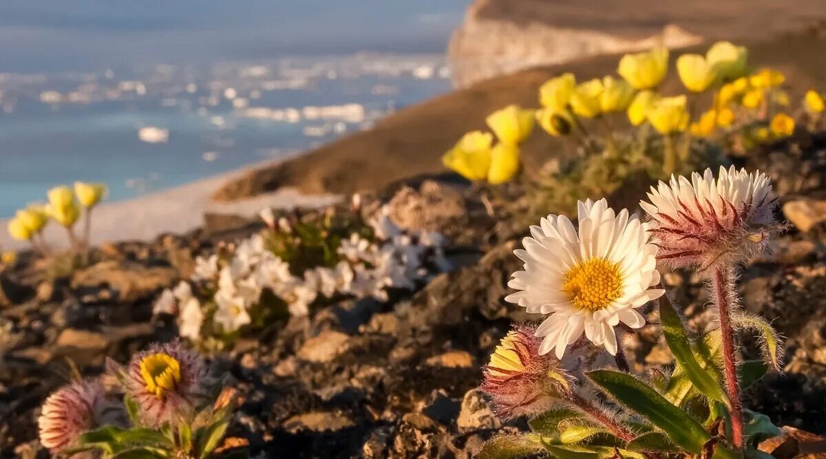 RUSSIAN ARCTIC NATIONAL PARK Dan4ik Дзен
