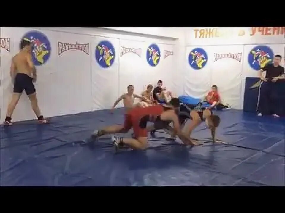 Вольная борьба схватки видео. Вольная борьба схватки видео. Спортивная борьба опасные эпизоды. Вольная борьба схватки видео. Вольная борьба схватки видео.