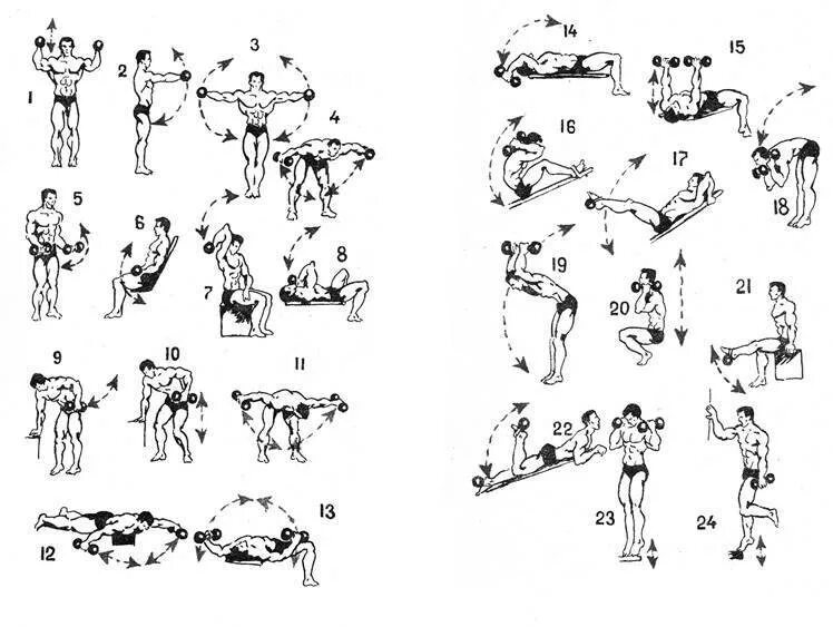 Правильное тренировки для мужчин. Гантельная гимнастика для мужчин комплексы упражнений. Комплекс упражнений с гантелями (10-12 упражнений). Упражнения с гантелями 2 кг для мужчин. Гантельная гимнастика комплекс 1/ для начинающих.