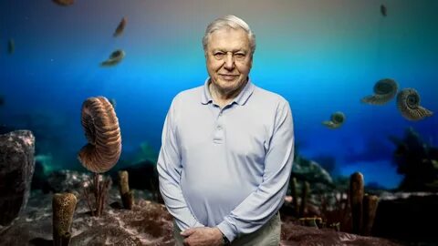 David Attenborough’s First Life.