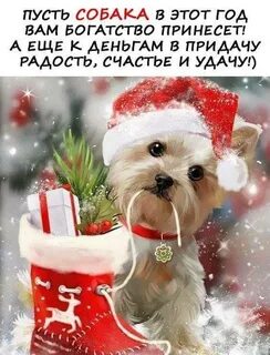 Новый год приносит радость