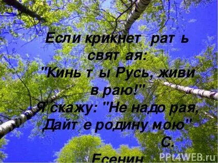 Дайте раю