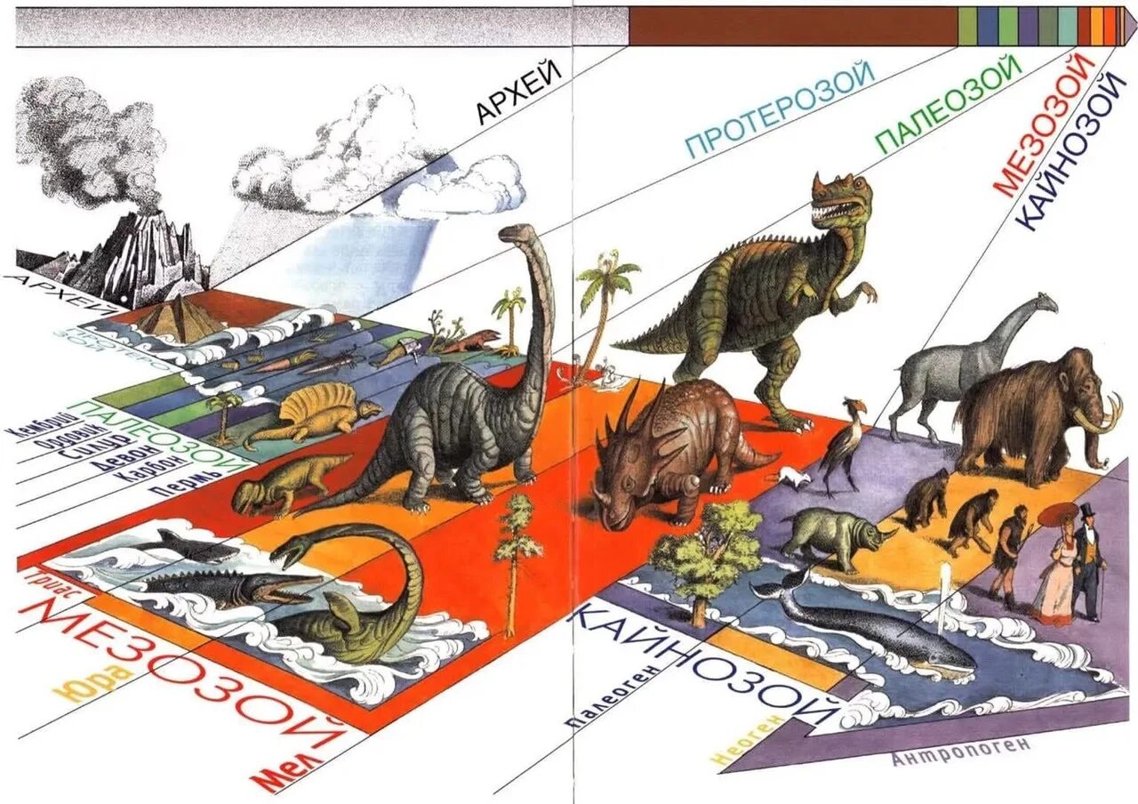 История земли ли. Периоды жизни на земле эры. Эволюция жизни на земле. Эпохи эволюции жизни на земле. Периоды жизни динозавров на земле.