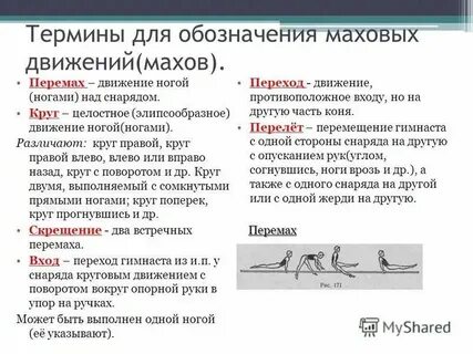 Физкультурные термины