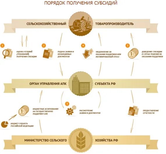 Субсидирование сельского хозяйства. Процесс получения субсидии. Как получить субсидию на сельское хозяйство. Субсидии сельскому хозяйству схема. Предоставление субсидий сельским поселениям