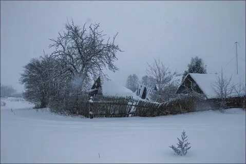 С белыми ставнями текст
