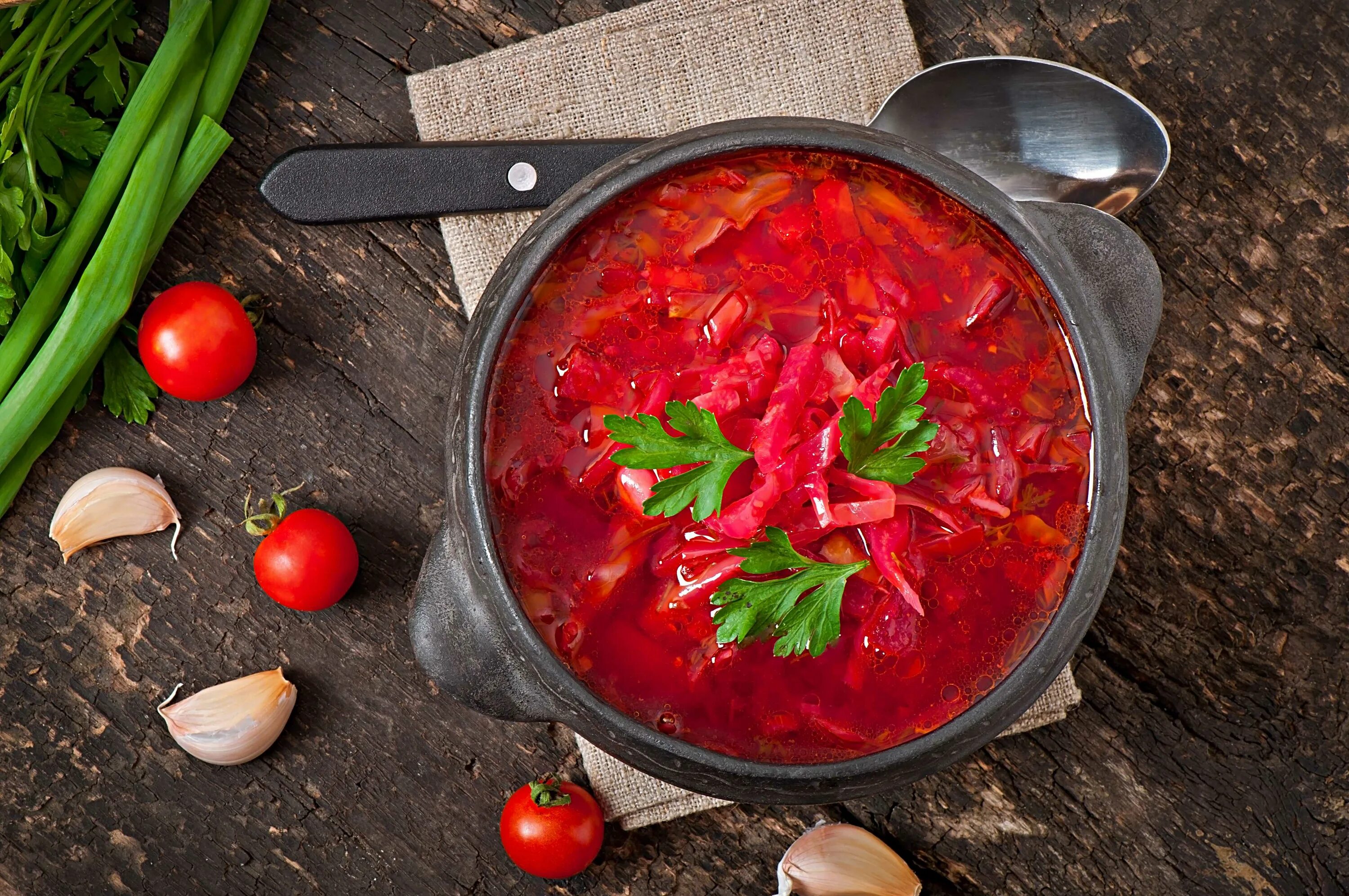 Рецепт борща без мяса и свеклы. Рецепт борща без мяса и свеклы