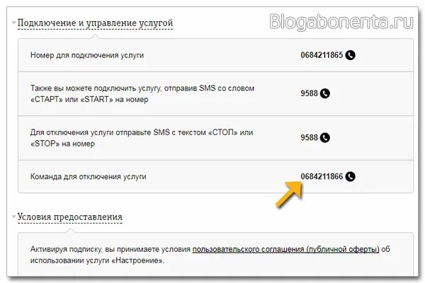 Как подключить платный канал. Платные услуги Билайн. Отключение подключенных услуг Билайн. Как отключить платные подписки на билайне. Отключение платных услуг Билайн на телефоне.