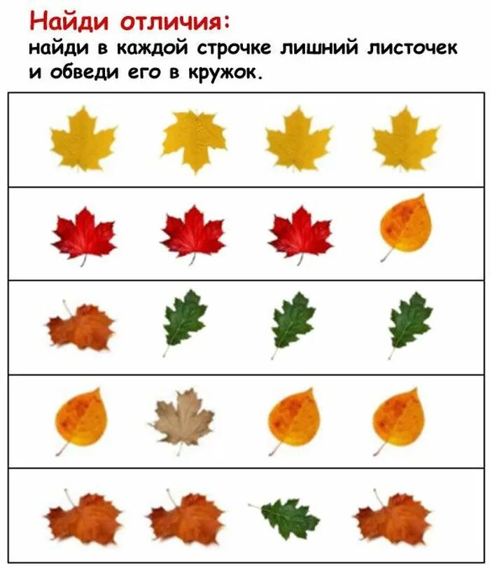 занятия на листочках. листья деревьев осенью для дошкольников. задания для детей по теме осень. изучение цвета задания для малышей. листочки для дошкольников.