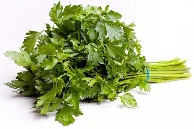 Укроп в стакане. Укроп, петрушка, кинза, щавель. Укроп и петрушка от отеков. Укроп петрушка отвар. Настой петрушки от отеков.