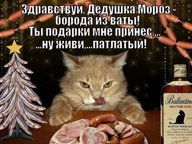 Стоял мороз 20 а ты принес. Зимнее стихотворение. Дед мороз борода из ваты стих. Стихотворение пушкина прощиму. Письмо прикол.