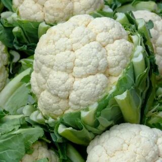 Капуста железновой