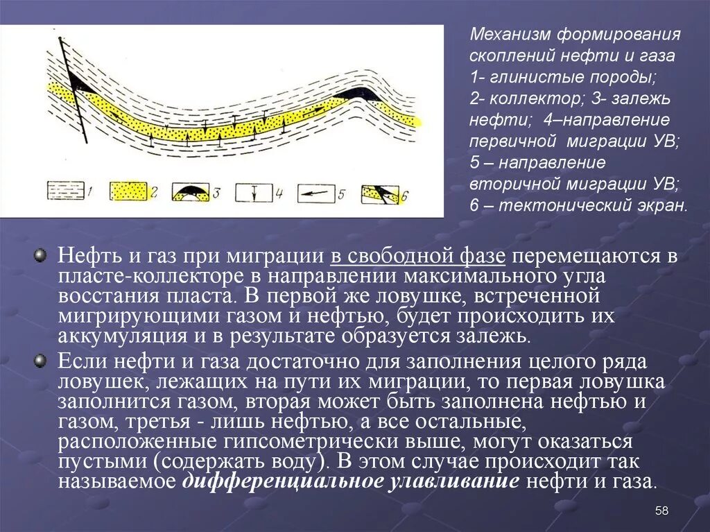 Природный газ добыча схема. Методы поиска и разведки нефтяных и газовых месторождений. Дифференциальное улавливание нефти и газа. Схема залежей нефти. Миграция углеводородов.