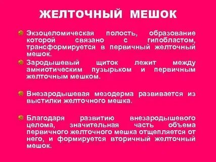 Функции желточного мешка