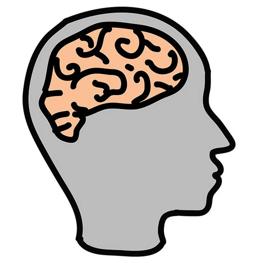 Мозг в голове. Отрубленная голова девушки. Человек в анфас. Пиктограмма психология. 3d модель лица.